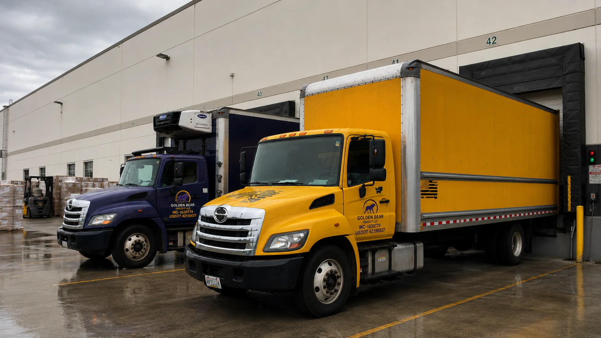 Golden Bear Freight box trucks at a loading dock in the Pacific Northwest
